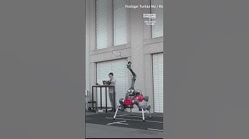 Doggy Robot Plays Badminton