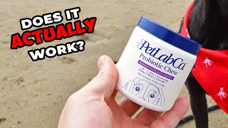 PetLab Co Review: Do Probiotics For Dogs Really Help Yeast?