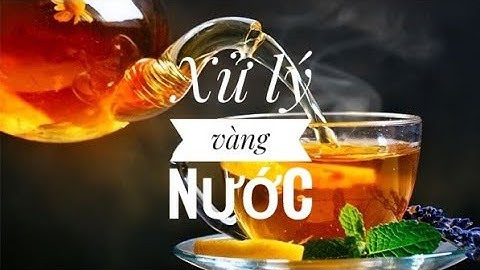 Fish 123: Xử lý hồ cá bị vàng nước