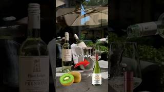 Start organic Kiwi Wine! 🍷 Low cost, high profit, huge India market!💰#WineBusiness #OrganicWine