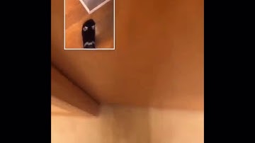 It’s scientifically proven that your brain won’t let you stub your toe