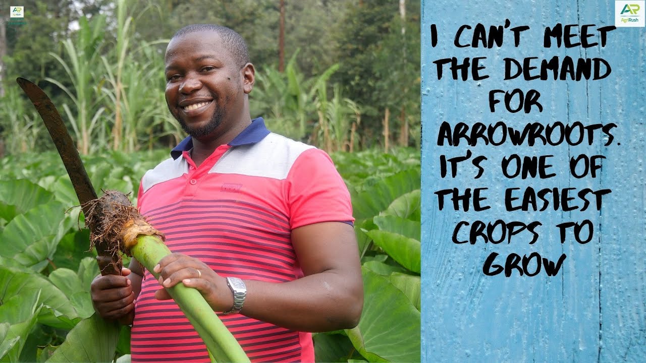 Plan your farm so that you have produce to sell all year round. #