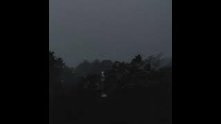 Mortt - Senja Temaram