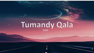 DNA - TUMANDY QALA | LYRICS | SÖZİ| ТЕКСТ |КАРАОКЕ|