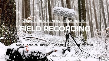 Field Recording I Search for stillness I Ecoacoustics I Audio-Technica BP4025 I Zoom F6