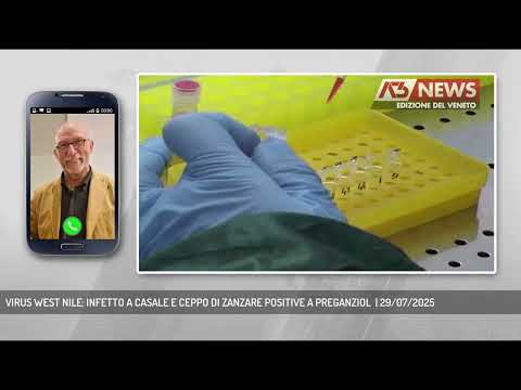VIRUS WEST NILE: INFETTO A CASALE E CEPPO DI ZANZARE POSITIVE A PREGANZIOL  | 29/07/2025