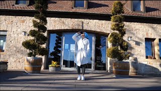 House Music Challenge By Boris Brejcha - Full Clip Vivavici