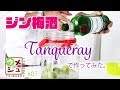 #07【梅酒の作り方】簡単ジン梅酒！タンカレーで漬けたらどうなる！