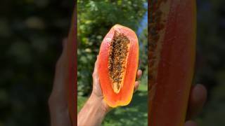 Did you ?know papaya seeds can help rid the body of parasites and bloating You probably didnt know?