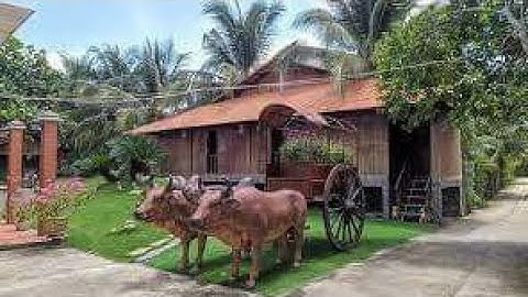 THÁM TỨ TỰ PHONG KÊU TABBVT SAO KÊ TỪ THIỆN ,BÁNH MÌ GỌI KÌA