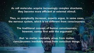 What is consciousness