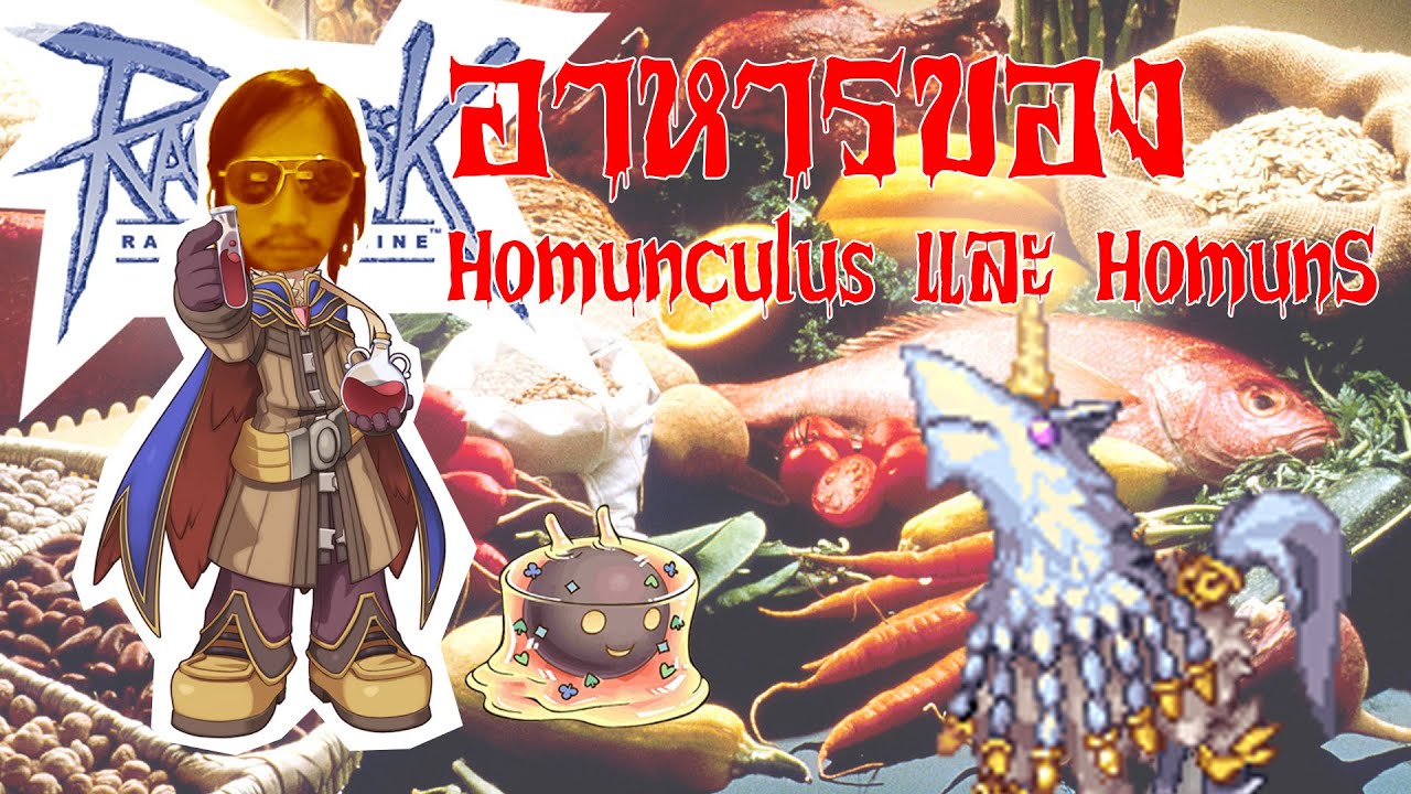 alchemist สายโฮมุน  New  วิธีให้อาหาร สถานที่ซื้ออาหาร โฮมุนครุส และโฮมุนS HomunculuS สาย Alchemist Ragnarok Online Gravity