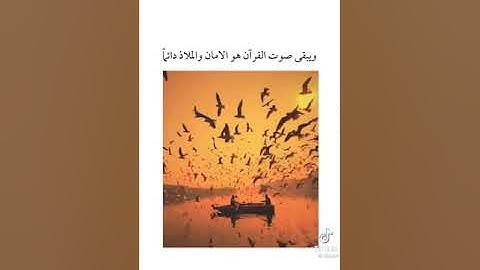 وَلَئِنْ سَأَلْتَهُمْ مَنْ نَزَّلَ مِنَ السَّمَاءِ مَاءً|القارئ عبد الرحمن مسعد