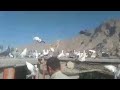 Fida hazara pigeons