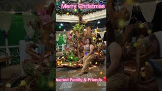 Merry Christmas dearest Family & Friends #christmasgreetings