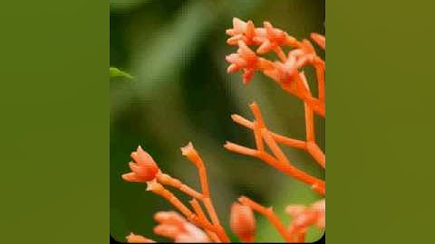 GeoStrings Guide #7 - Alert Notifications