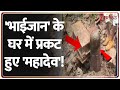 Madhaya Pradesh News : 'भाईजान' के घर में प्रकट हुए 'महादेव'! | Breaking News | ZEE News