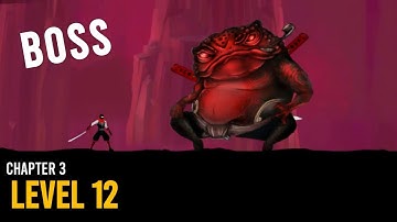 Ninja Raiden Revenge Chapter 3 Level 12 Boss