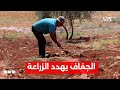 مواسم إدلب تواجه خطر شح المياه والمزارعون يطالبون بحلول سريعة مواسم إدلب تواجه خطر شح المياه والمزارعون يطالبون بحلول سريعة
