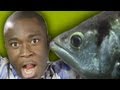 The Extraordinary Archerfish | Zoo La La | Earth Unplugged
