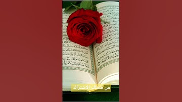 احترام القرآن الكريم #قرآن #quran #اكسبلور #لايك