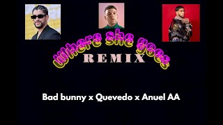 Bad Bunny x Quevedo x Anuel AA - WHERE SHE GOES REMIX (IA)