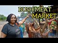 A kenyan first time in a nigerian food marketbush meat market