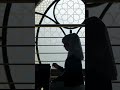 New Arabic Nasheed 2025 Ma Adalak By Anas Nadeem Yaman Nadeem Beautiful Nasheed Arabic Viral New Arabic Nasheed 2025 Ma Adalak By Anas Nadeem Yaman Nadeem Beautiful Nasheed Arabic Viral