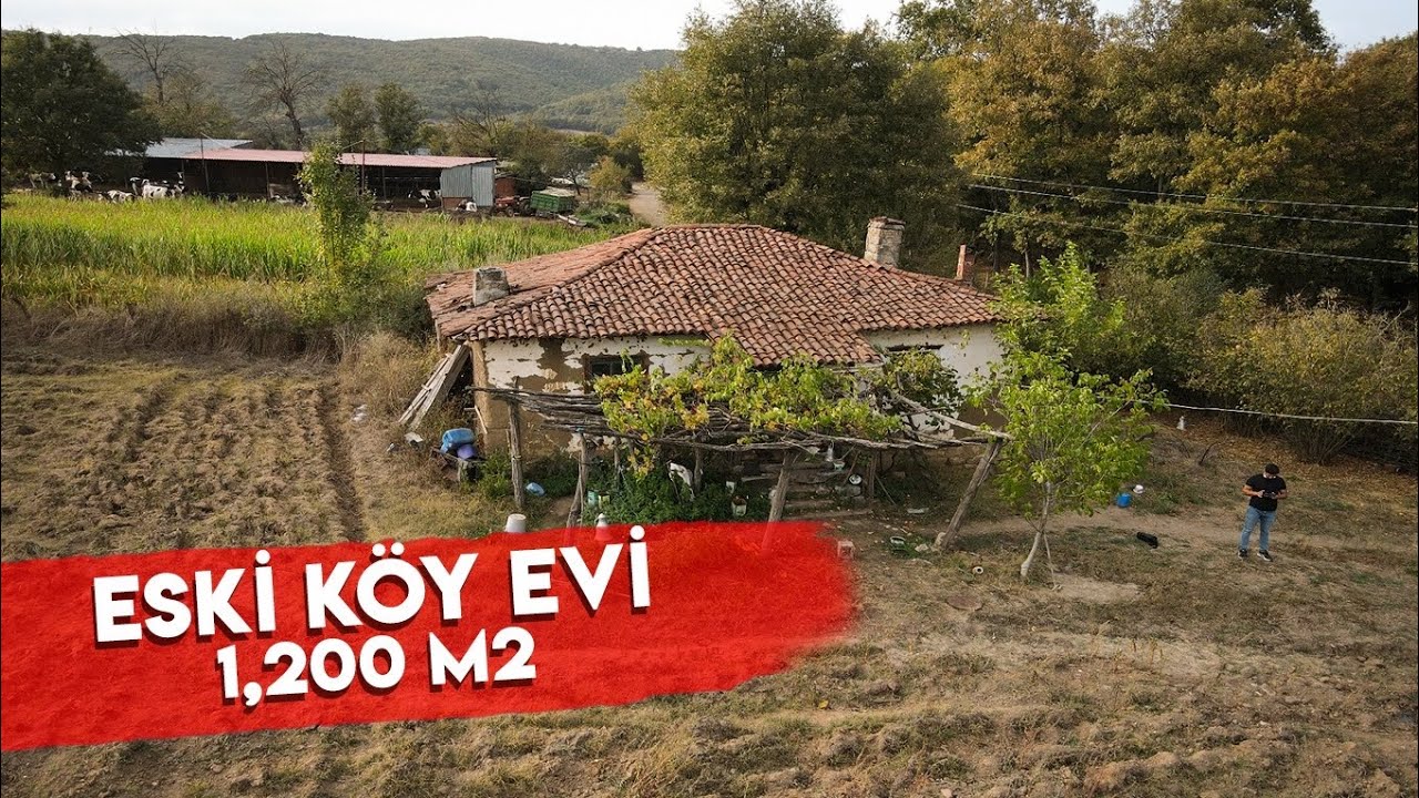 acil satilik 180 000 tl kerpic ev 1 200 m2 canakkale yenice kazdaglari youtube