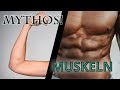 Mythos Muskeln | Muskelaufbau | Prof. Ingo Froböse