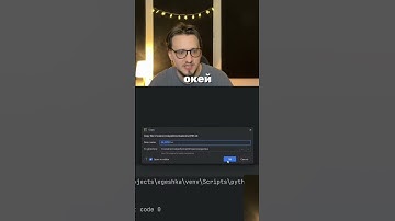 КАК ВСТАВИТЬ ФАЙЛ В PyCharm #егэ #информатика
