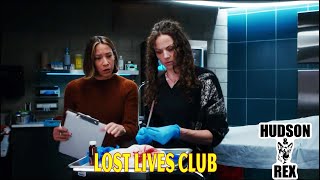 Hudson and Rex New 2024 🦮🦮 Lost Lives Club 🦮🦮  Best American Police Procedural Drama Series 2024