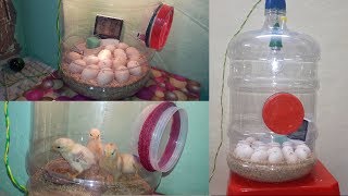 Homemade Incubator || Hatching Eggs || How To Make An Egg Incubator