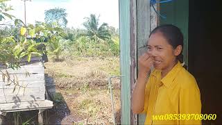 SEMANGAT PAK SUDIWANI UNTUNK BERKEBUN LUAR BIASA TERIMAKASIH DUKUNGANYA HABA ALLOH