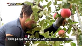 [SBS 현장21] 130910 #7(6)