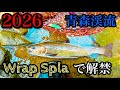 【2026青森渓流解禁】Try'stream/wrap spla【尺2本！】