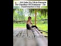 Girl Quits City Life to Renovate Her Grandma's Old Farmhouse-The Transformation is Real #foryoupage