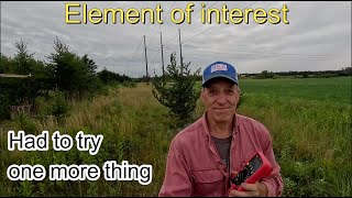 (#7 E.O.I.) Trees draining power near HV transmission lines