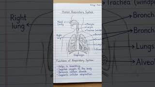 class 10th important diagrams #diagram #cbse #notes #study #ncert #biology