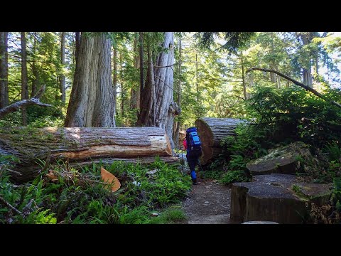 Video: L'epica Bellezza Del West Coast Trail - Matador Network