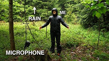 Field Recording Rain Sounds in Nature