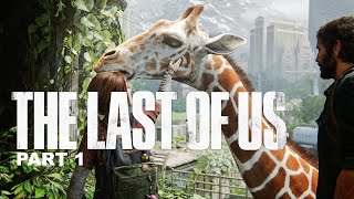 The Last of Us Part 1 4k PS 5 Gameplay Part 31 Giraffen einfach schön auf der Ps5