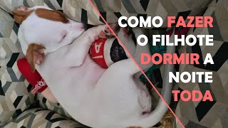 15 dicas para fazer o seu filhote parar de chorar