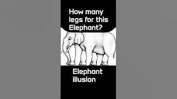 How Many Legs Does This Elephant Have? | Shepard’s Impossible Elephant Illusion