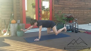 Quadruped Hover Alternating Holds