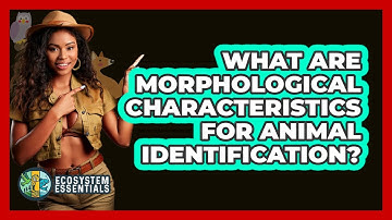 What Are Morphological Characteristics For Animal Identification? - Ecosystem Essentials