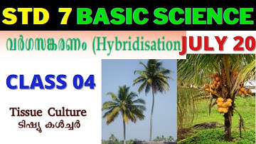 VICTERS STD 7 |BASIC SCIENCE| CLASS 04|20.07.2021