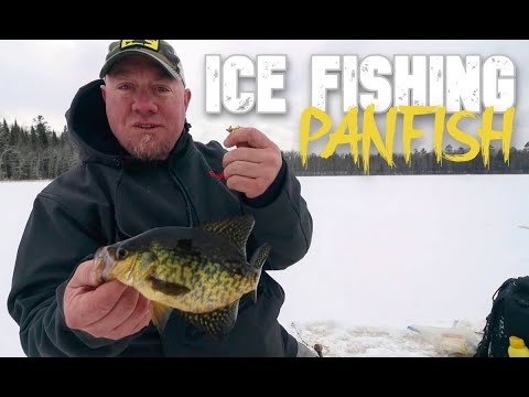 13 Fishing Reel Bands - Ice Fishing Forum - Ice Fishing Forum