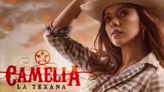Miniatura de vídeo de "Los tigueres del norte -Camelia la texana 1-2-3"