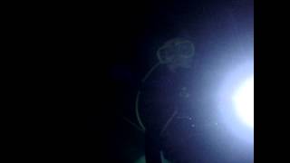cavern diving. Light Monkey divelight